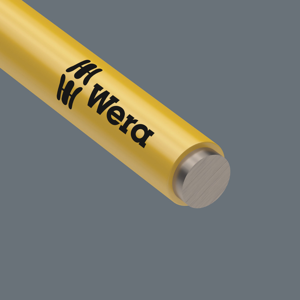 Clés mâles coudées, syst. métrique, acier inoxydable 3950 SPKL Hex-Plus 10,0 bleu WERA - 05022668001