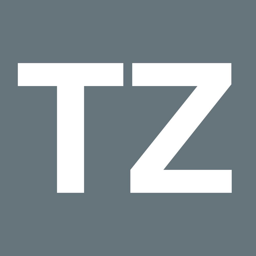 Embouts TZ 800/1 TZ 0,6 x 4,5 x 25 mm WERA - 05056210001