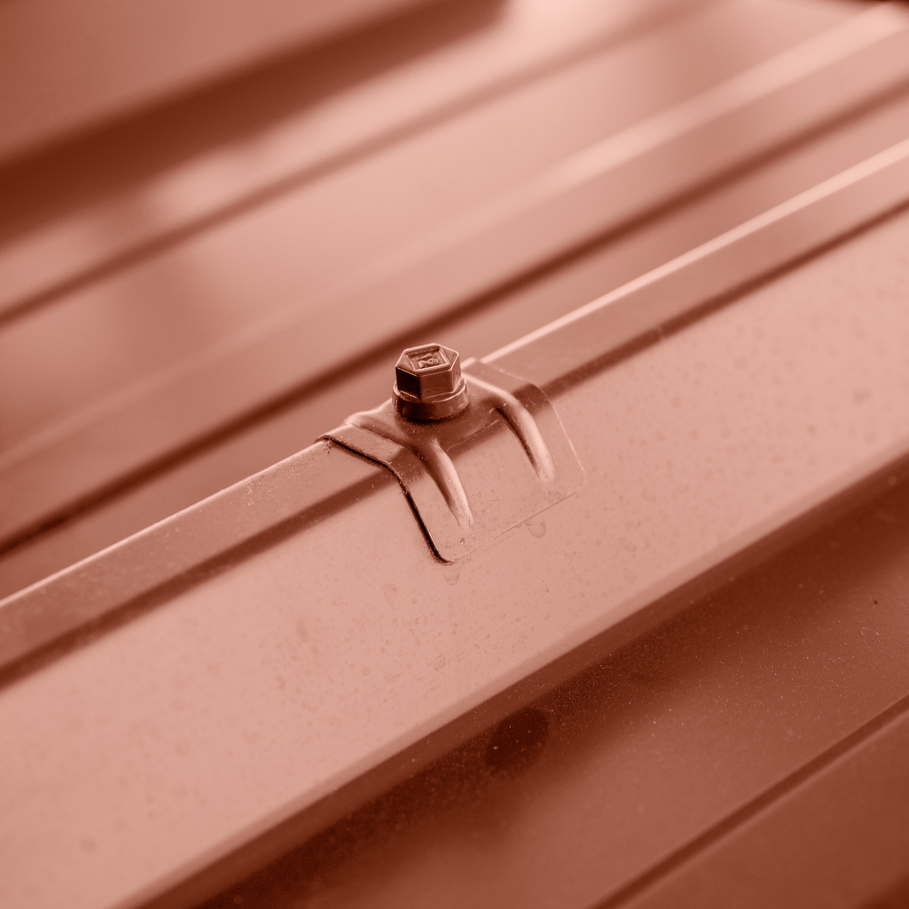 100 Vis bac acier - sommet de nervure - support ZED - TH12-6,3x75mm- RAL8012 - SCELL-IT - ZTZ-63075-8012