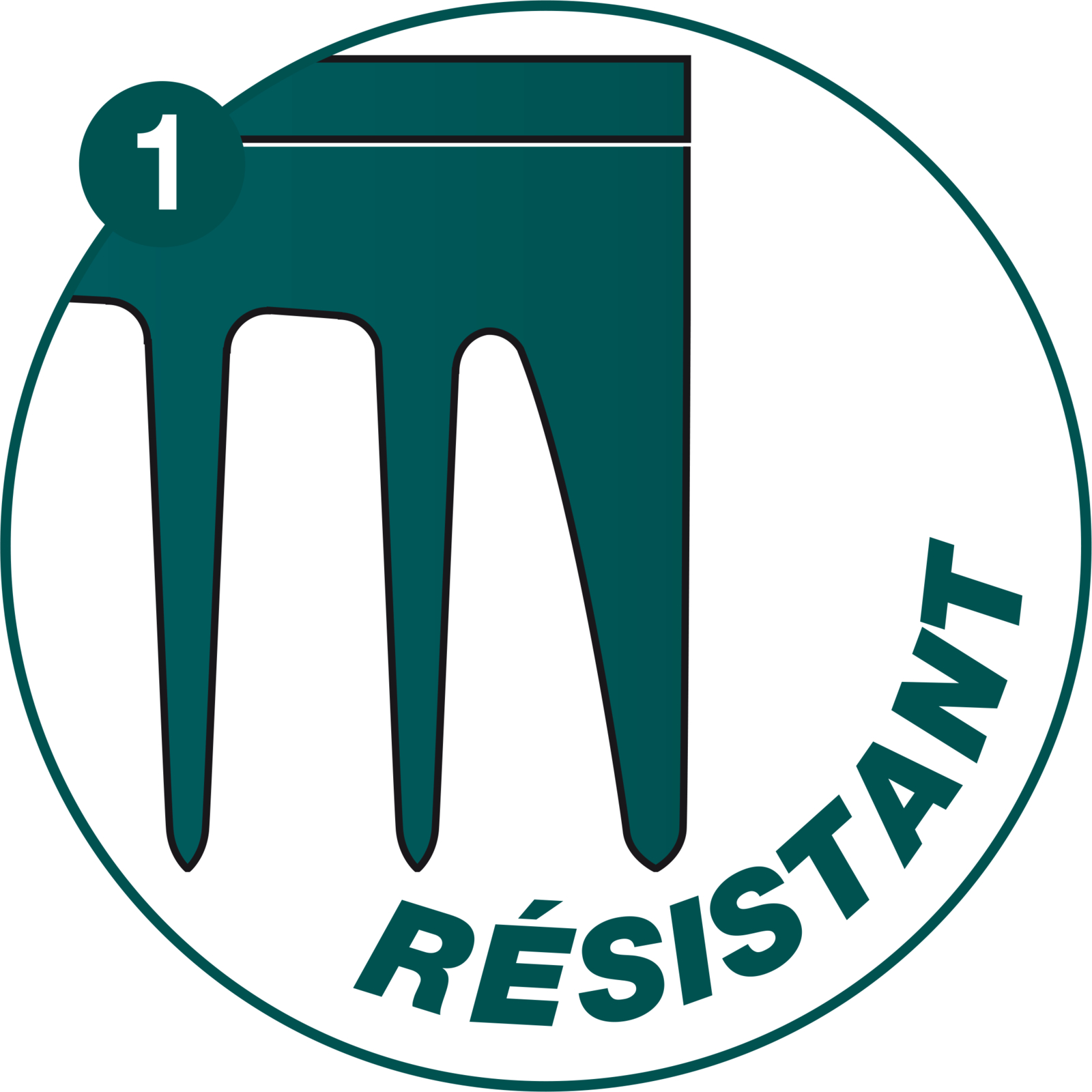 Râteau à gazon Duopro 30 dents manche bois certifié PEFC 100% LEBORGNE - 372301