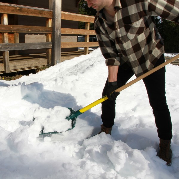 PELLE SMAX MANCHE BOIS POMME LEBORGNE - 34201