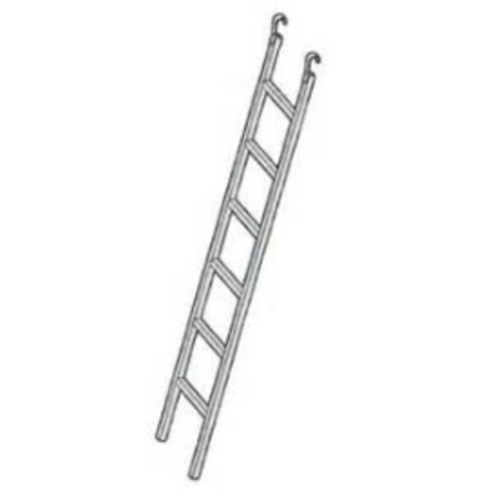 ECHELLE D'ACCÈS ALTRAD ACIER 2 M NF VITO49, AERIS45, MAG42 ET MULTIVIT - 562392