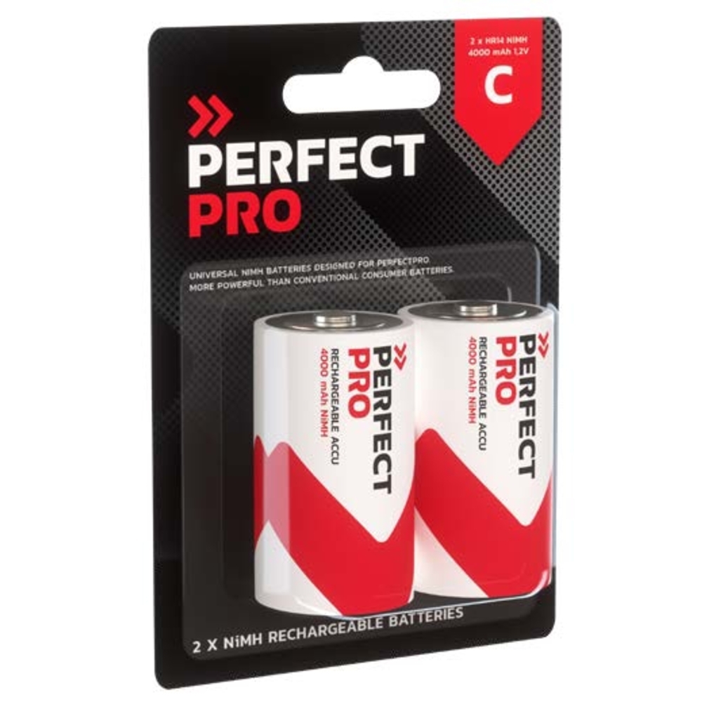 Piles C X 2 - ALSAFIX - RC000BC2