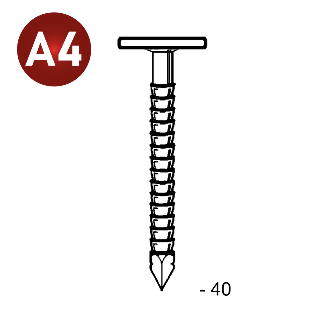 POINTES TÊTES EXTRA LARGE ANNELÉES INOX 2,8/3,1X40 - 1KG - ALSAFIX - TL280409