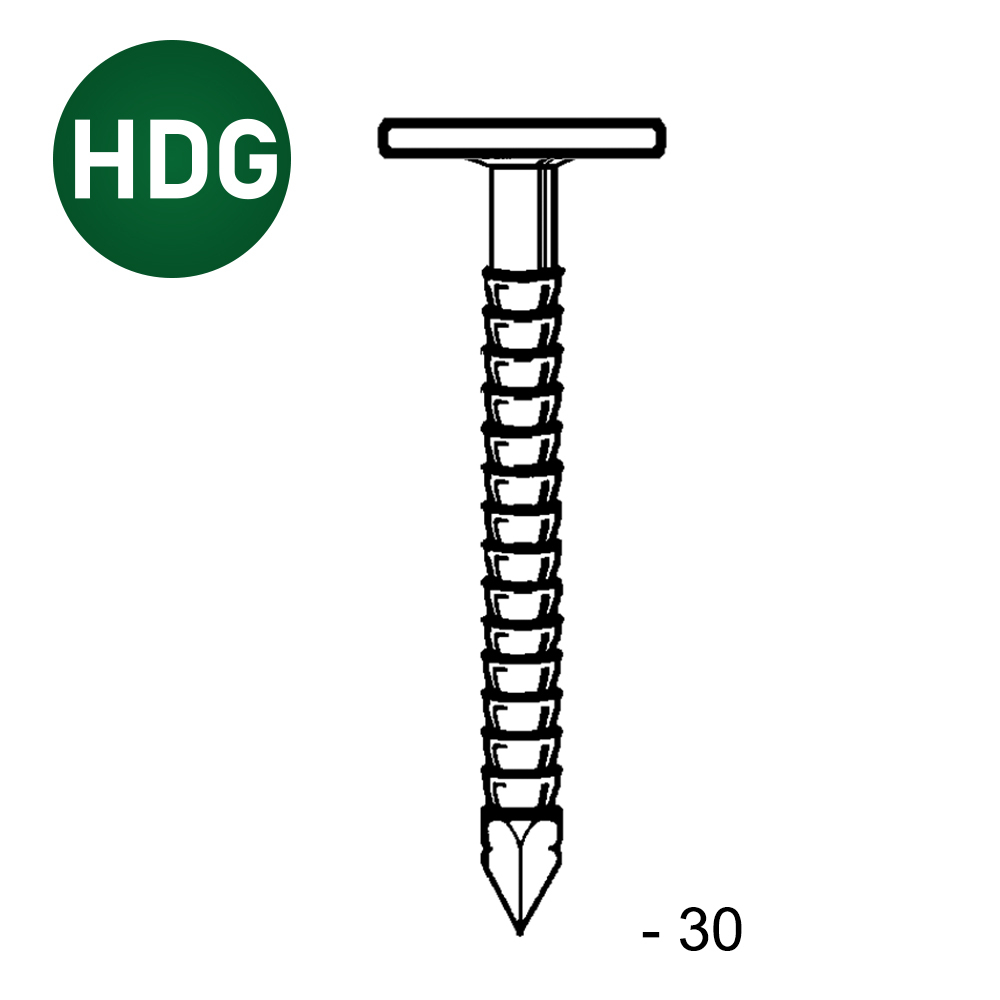 POINTE TEL ANNELÉE HDG 3,1 X 30 MM - ALSAFIX - TL310306