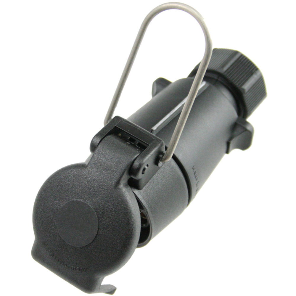 Prise AS SCHWABE - 60463