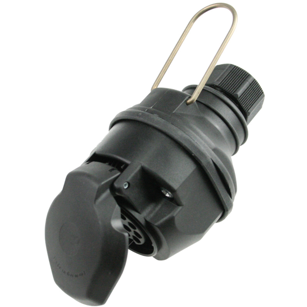 Prise AS SCHWABE - 60466