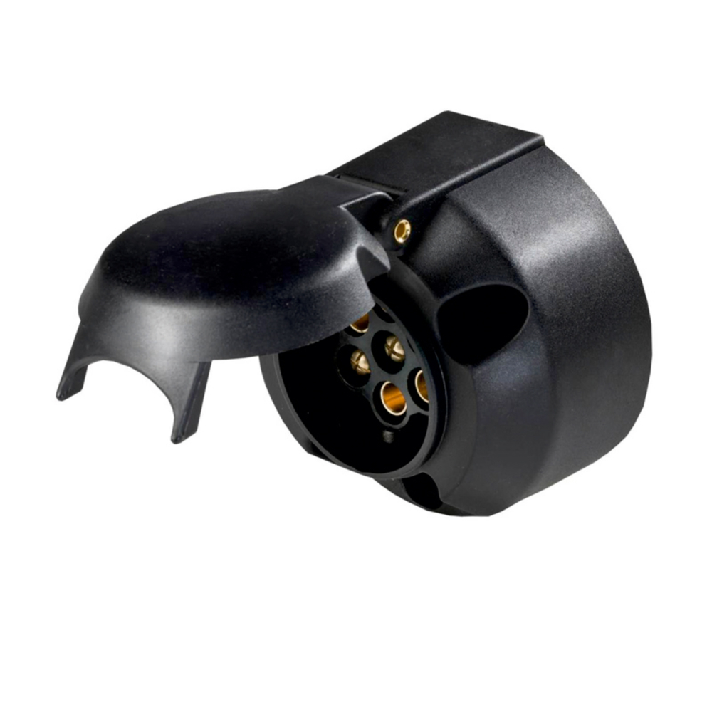 Prise AS SCHWABE - 61473