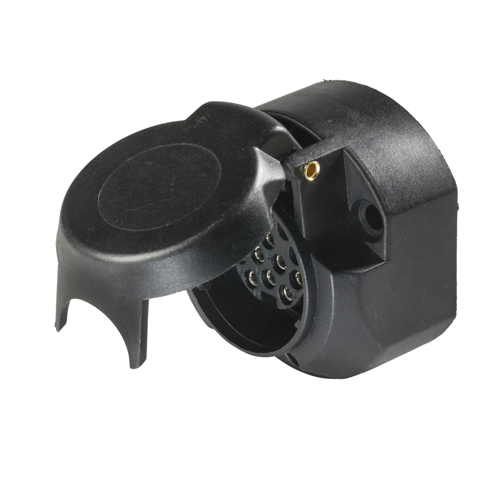 Prise AS SCHWABE - 61474