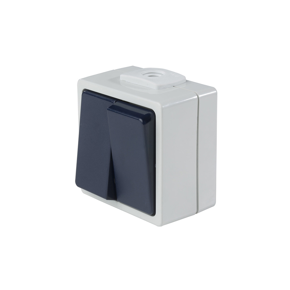 Interrupteur double va-et-vient 10 A, gris/bleu AS SCHWABE - 62451