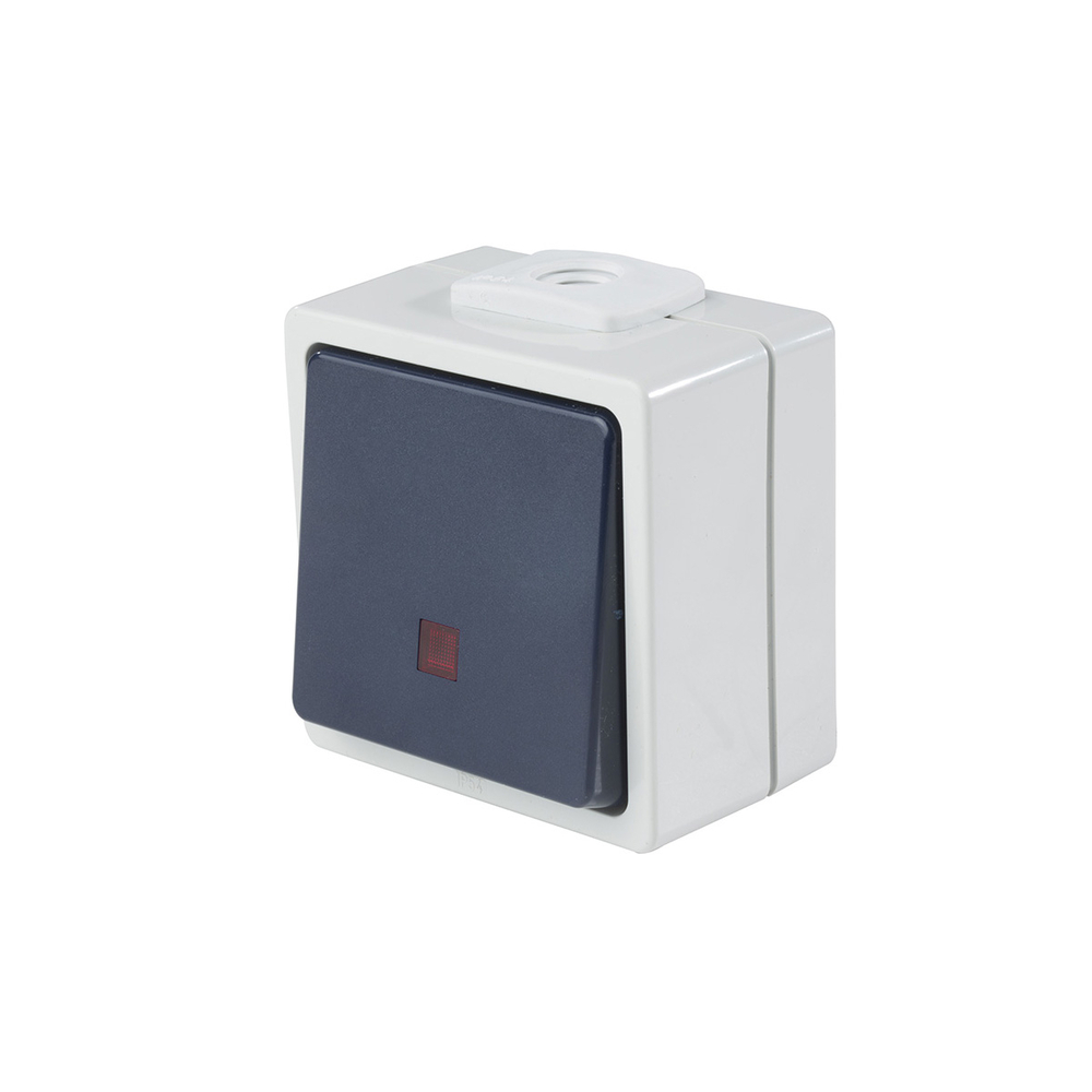 Poussoir AS SCHWABE 10 A, gris/bleu, lumineux AS SCHWABE - 62453