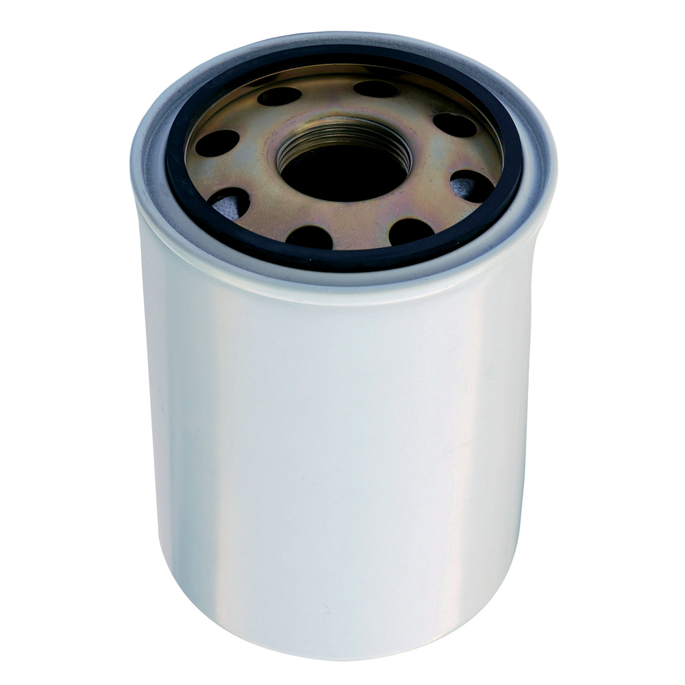 Filtre de rechange 10 microns - ALGI EQUIPEMENT - 07634010