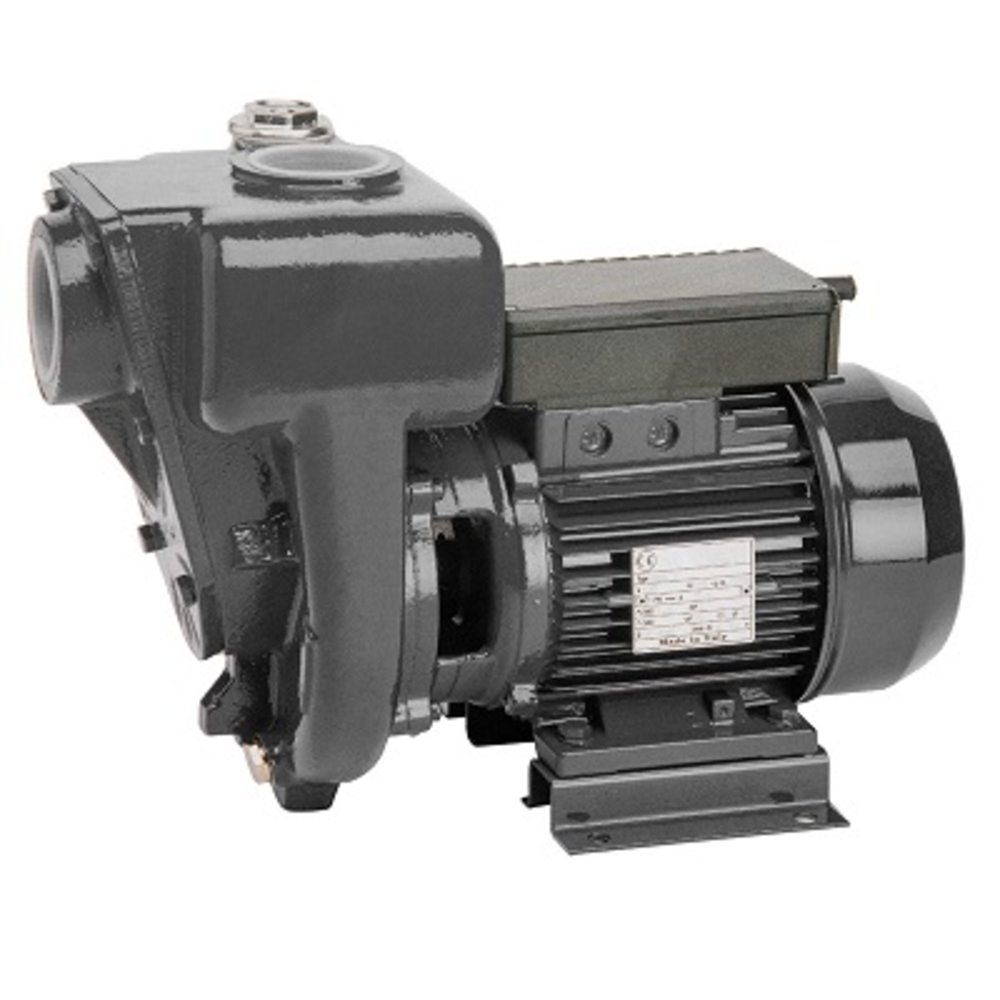 Pompe transfert 230V - 550 l/min - ALGI EQUIPEMENT - 07639508