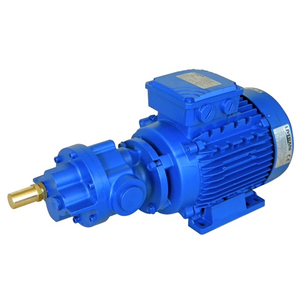 Pompe à engrenages 50 l/min – 1″ Gaz F – 230/400 V Tri – 1400 TRM – 5 bar - ALGI EQUIPEMENT - 07904308