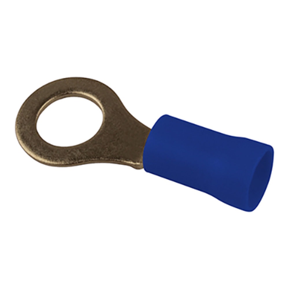 Bte 100 cosses oeil bleu d8 BUISARD - 712304