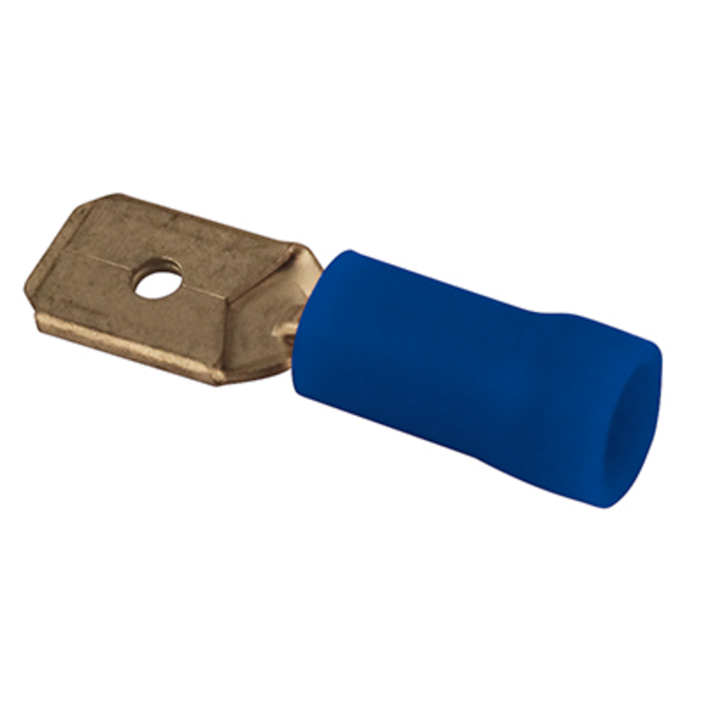 Bte 100 cosses plat m.bleu l2.8 BUISARD - 712320