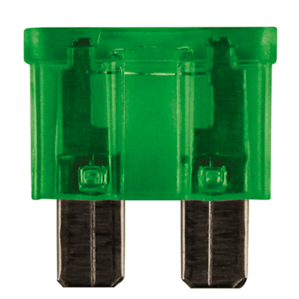Bte 100 fusibles enfi. std 30a vert BUISARD - 725127