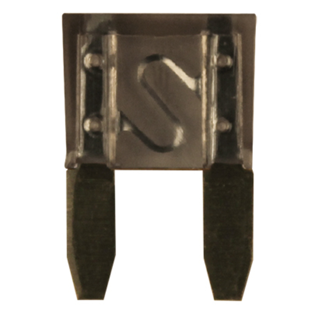 Bte 50 fusibles enfich.mini 2a BUISARD - 725358