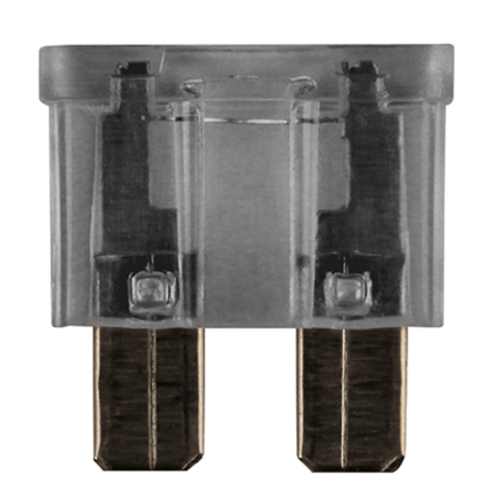 Bte 100 fusibles enfich.std 2a BUISARD - 725360
