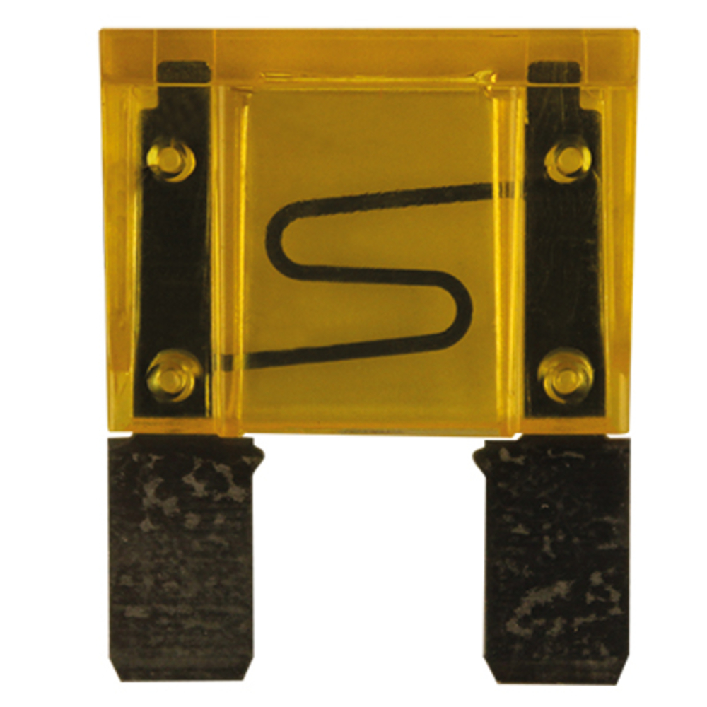 Bte 10 fusibles enfich.maxi 20a BUISARD - 725362