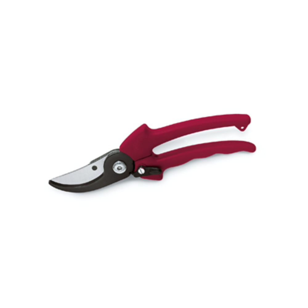 Bl-secateur 2l interch.lg 210mm BUISARD - 737156