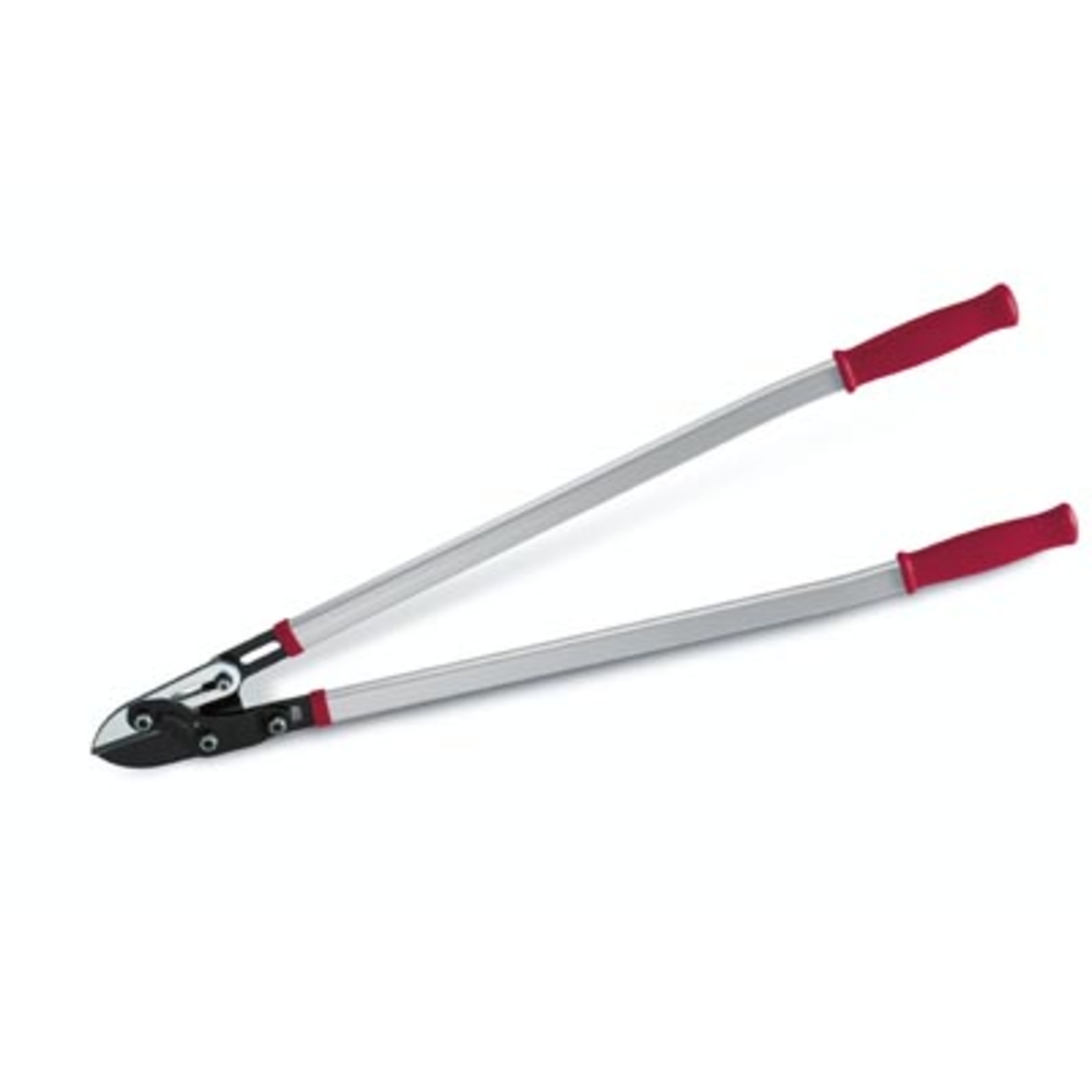 Bl-ebrancheur 15 demultiplic.80cm BUISARD - 737169