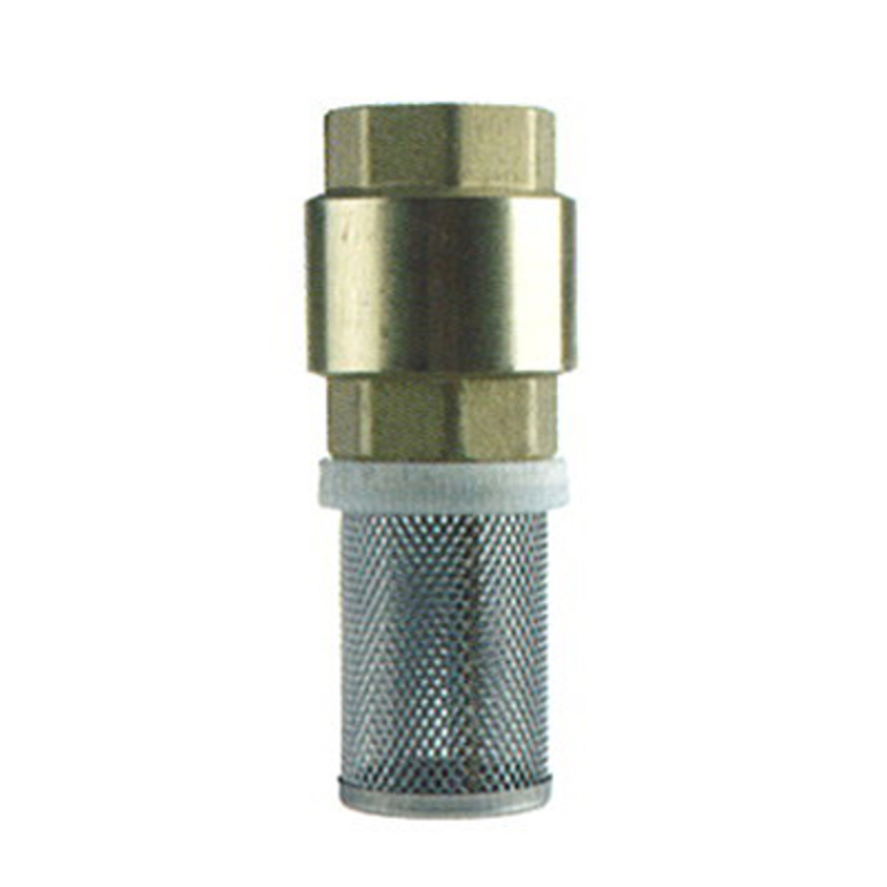 Clapet/crepine laiton filetage 1'gf BUISARD - 744209
