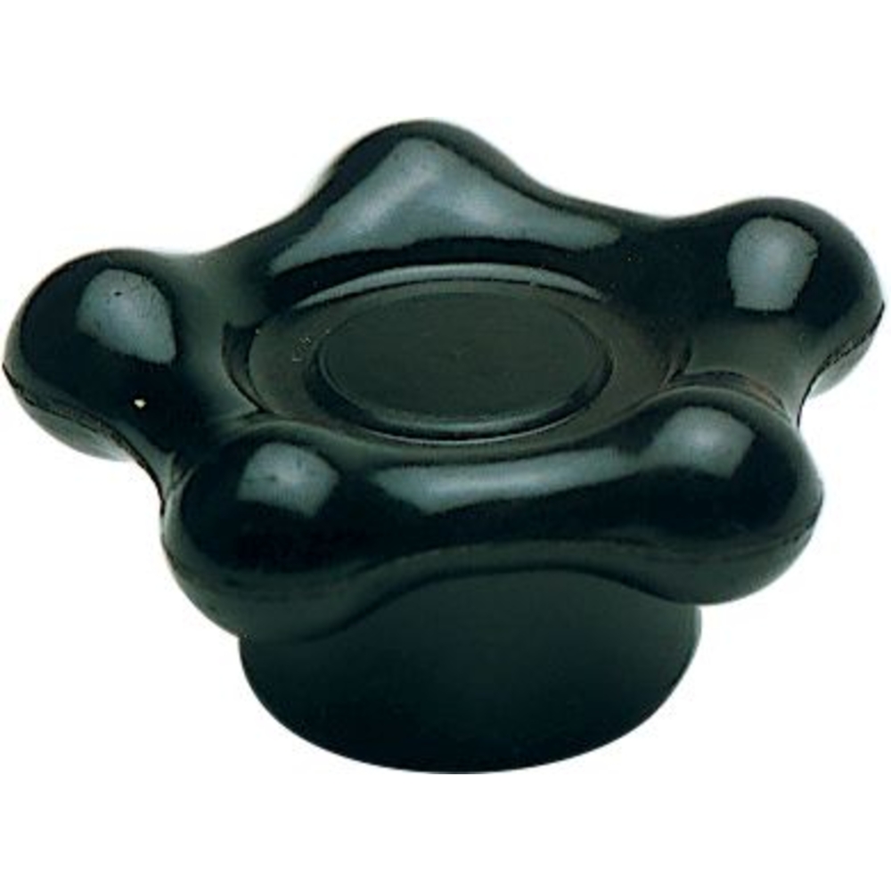 Bouton etoile femelle ref 1577 BUISARD - 765002