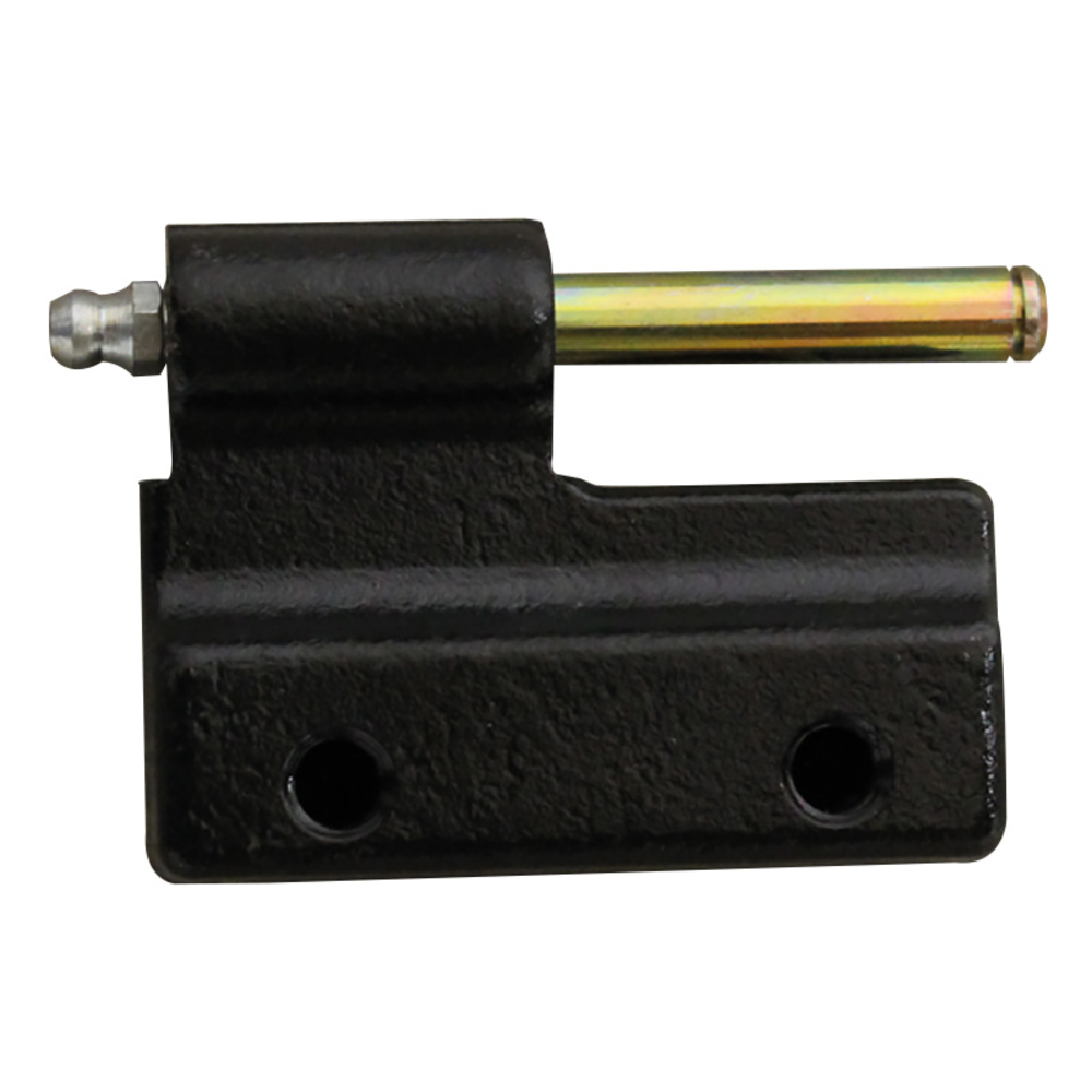 Paumelle m782501+axe+graisseur BUISARD - 782571