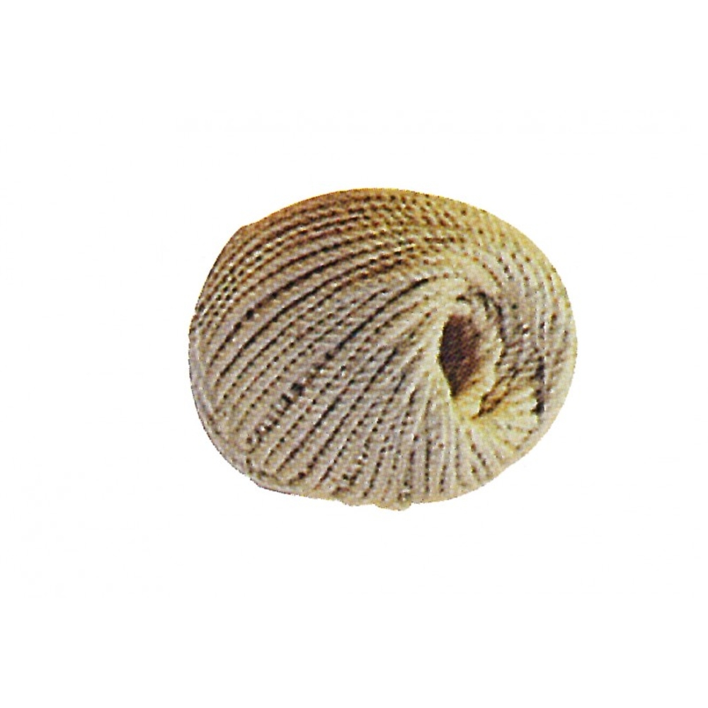 CORDEAU CORDERIE MESNARD COTON CABLÉ Ø 3 MM - CXCOC030P050N