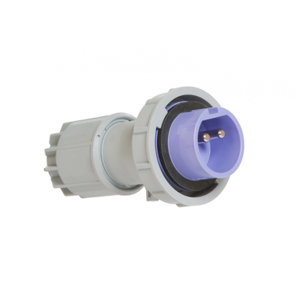 Fiche mâle 24V 2P 16A IP67-CEBA-P17M2B1624PIP67