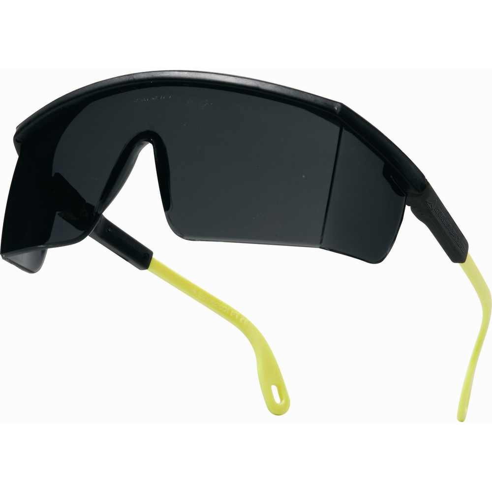LUNETTES DELTA PLUS POLYCARBONATE MONOBLOC KILIMANDJARO SMOKE -KILIMNOFU100