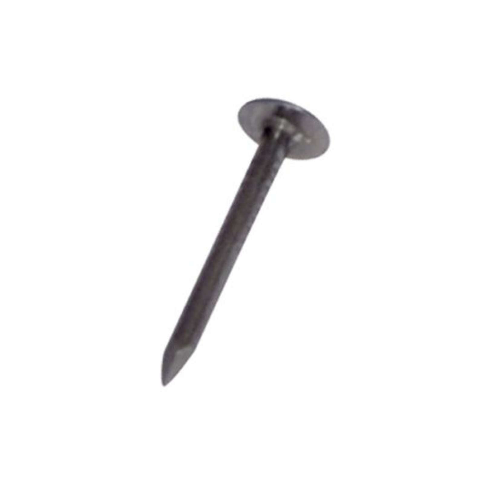 Pointe tête extra large ronde lisse Acier Clair 27x2.7mm DIMOS - 770103