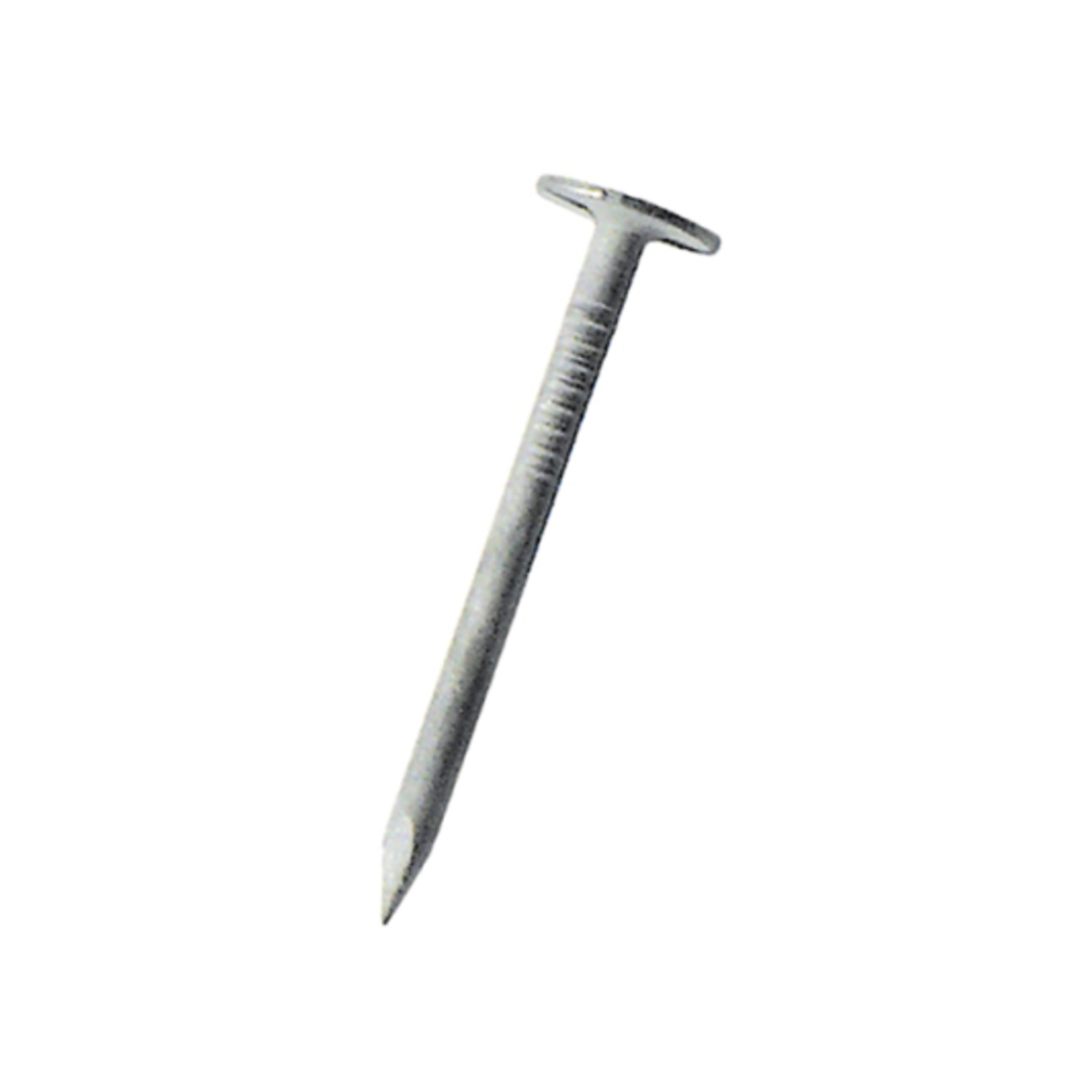 Pointe tête extra large Galva 25x3.0mm DIMOS - 771106