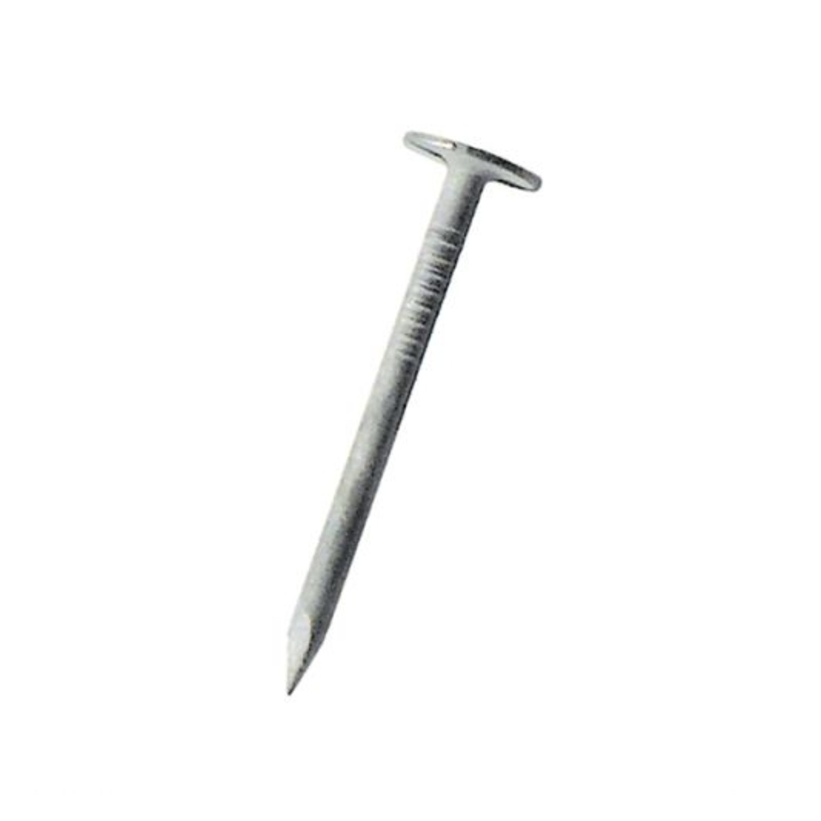 Pointe tête extra large ronde lisse Galva 40x3 mm DIMOS - 771619