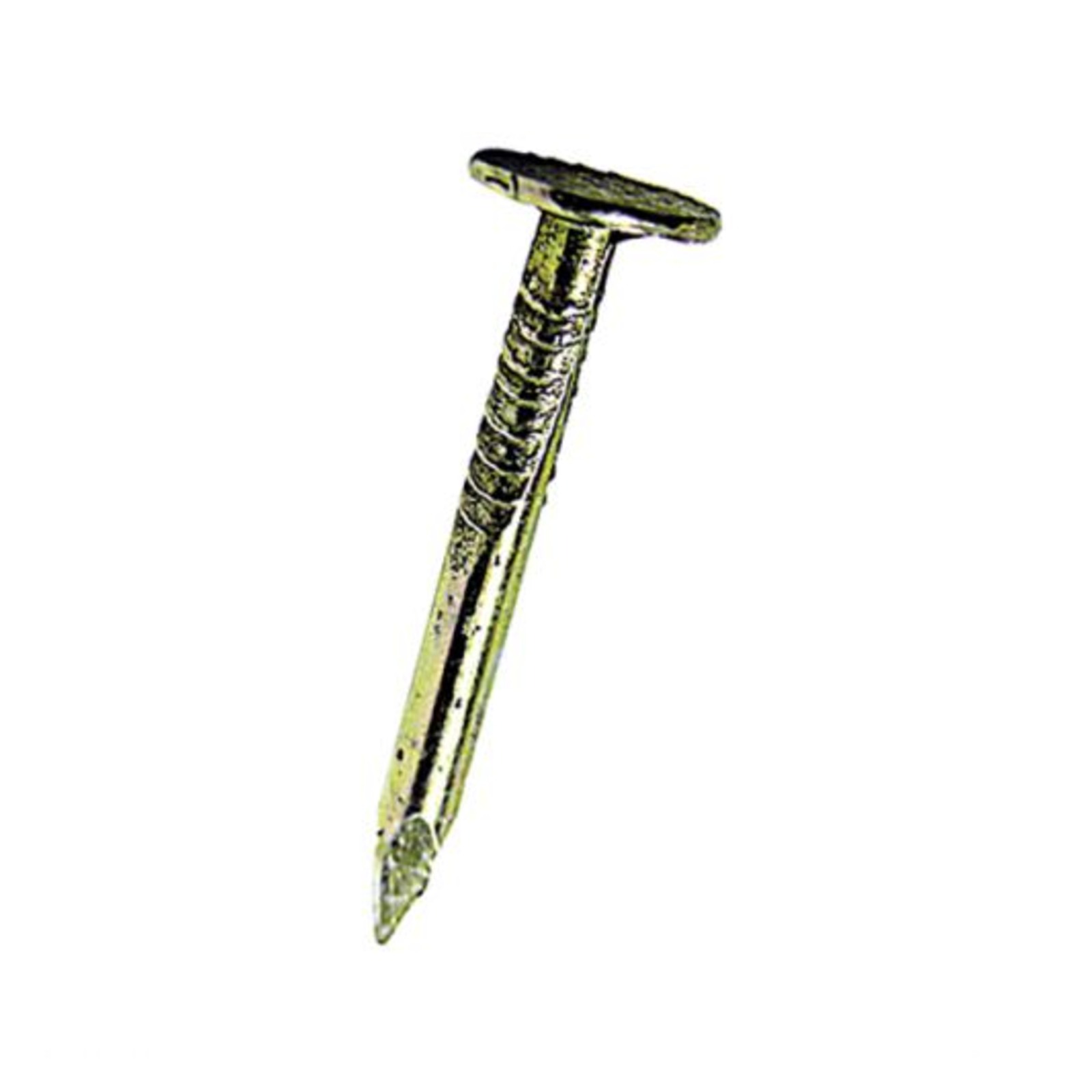 Pointe tête extra large bichromatée 27x2.4mm DIMOS - 772107