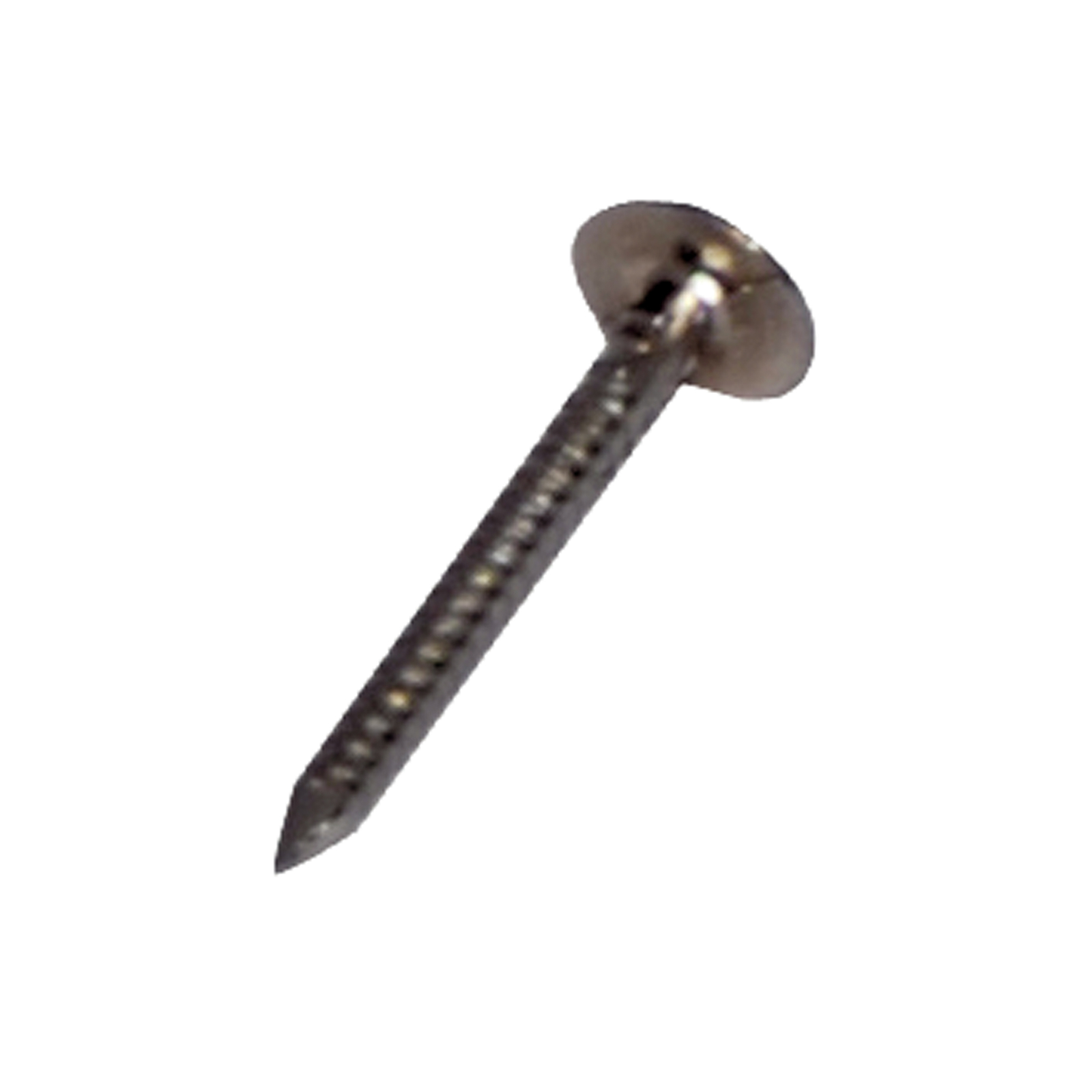 Pointe tête extra large annelée inox 17% 40x3.0mm DIMOS - 777675