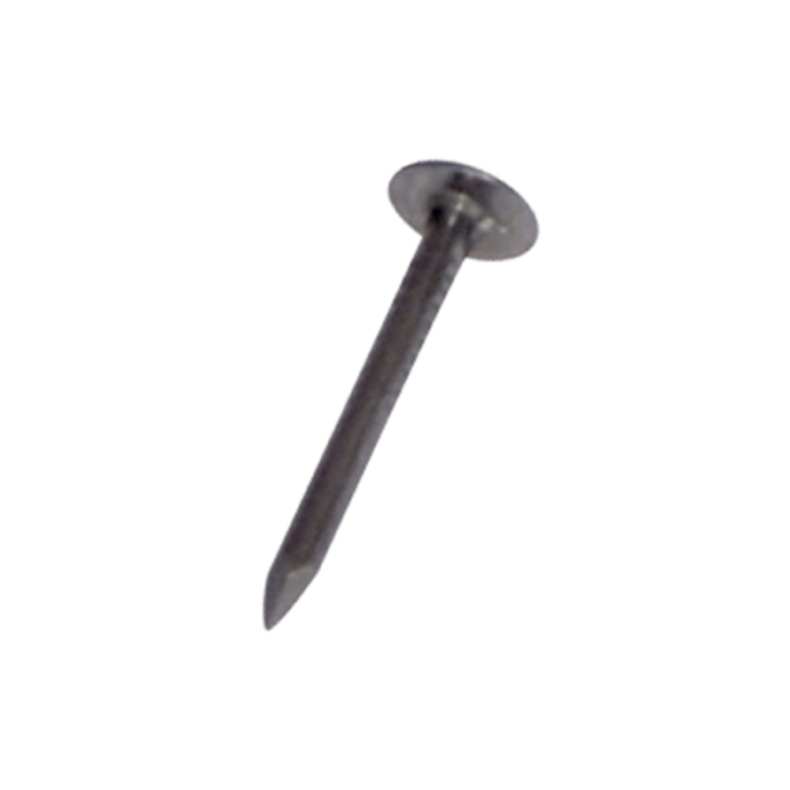 Pointe tête extra large Inox 18/10 30x2.7mm DIMOS - 778103