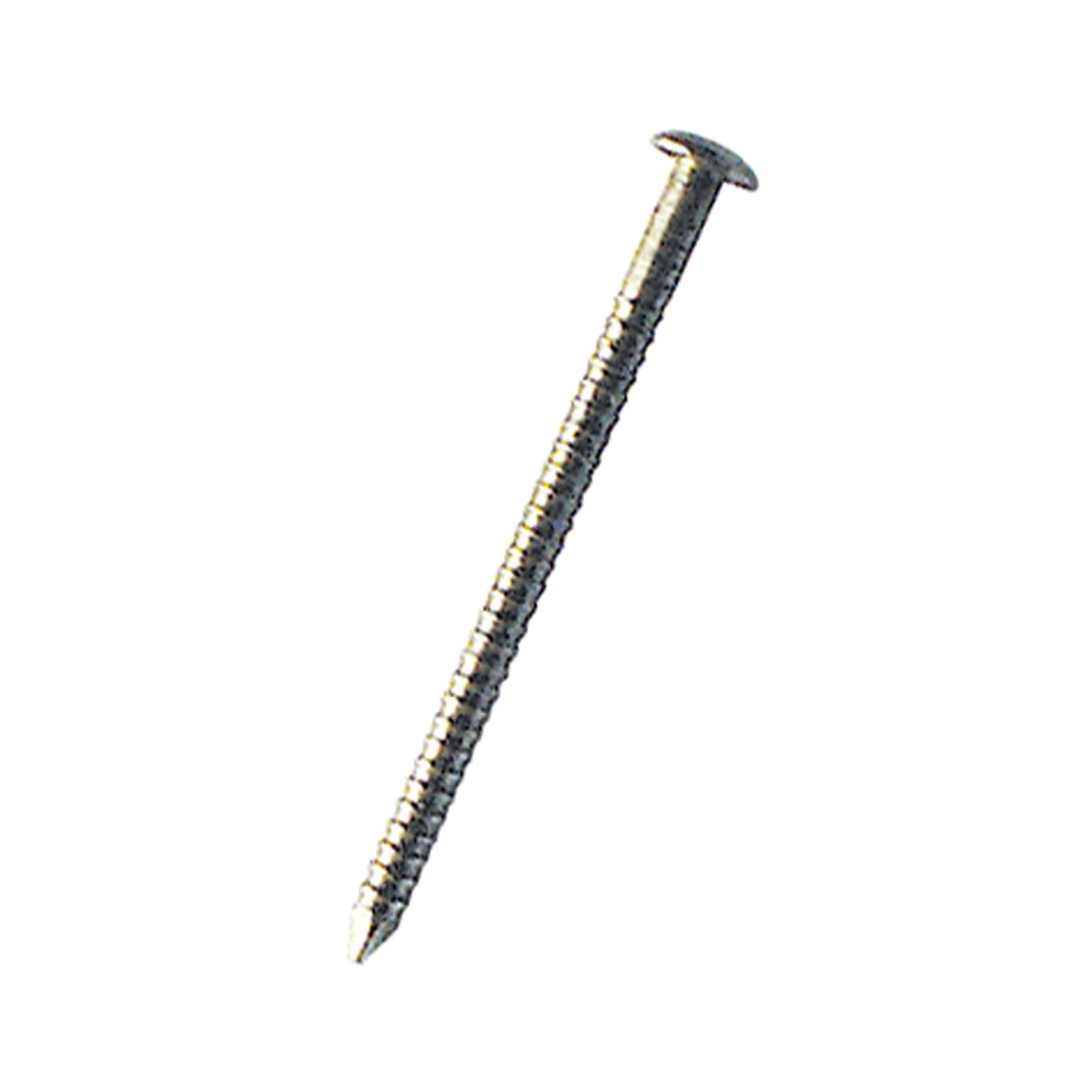 Pointe tête bombée annelée inox 18/10 40x2,3 mm DIMOS - 778422