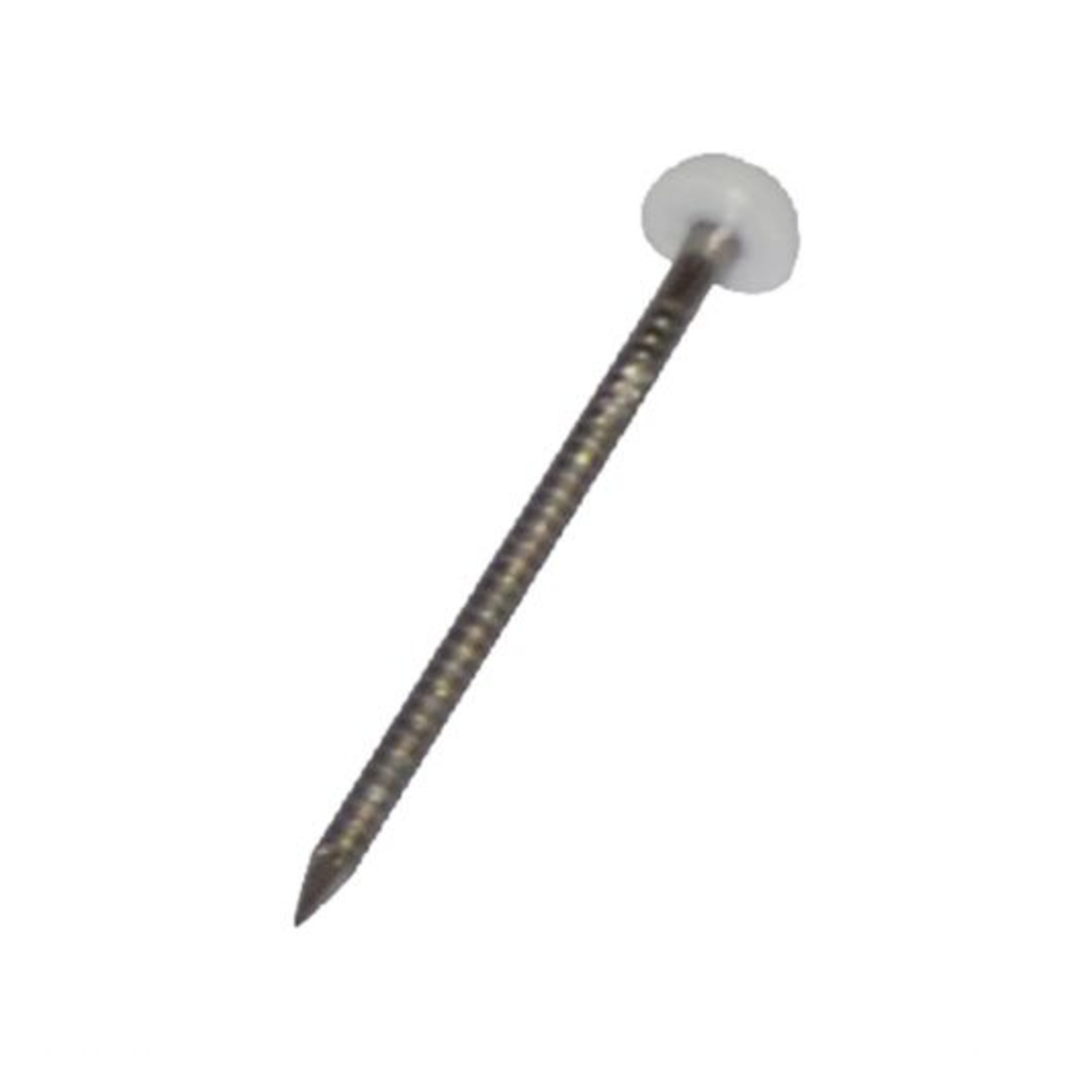 Pointe tête plastique blanche annelée inox 18/12 30x2 mm DIMOS - 778711