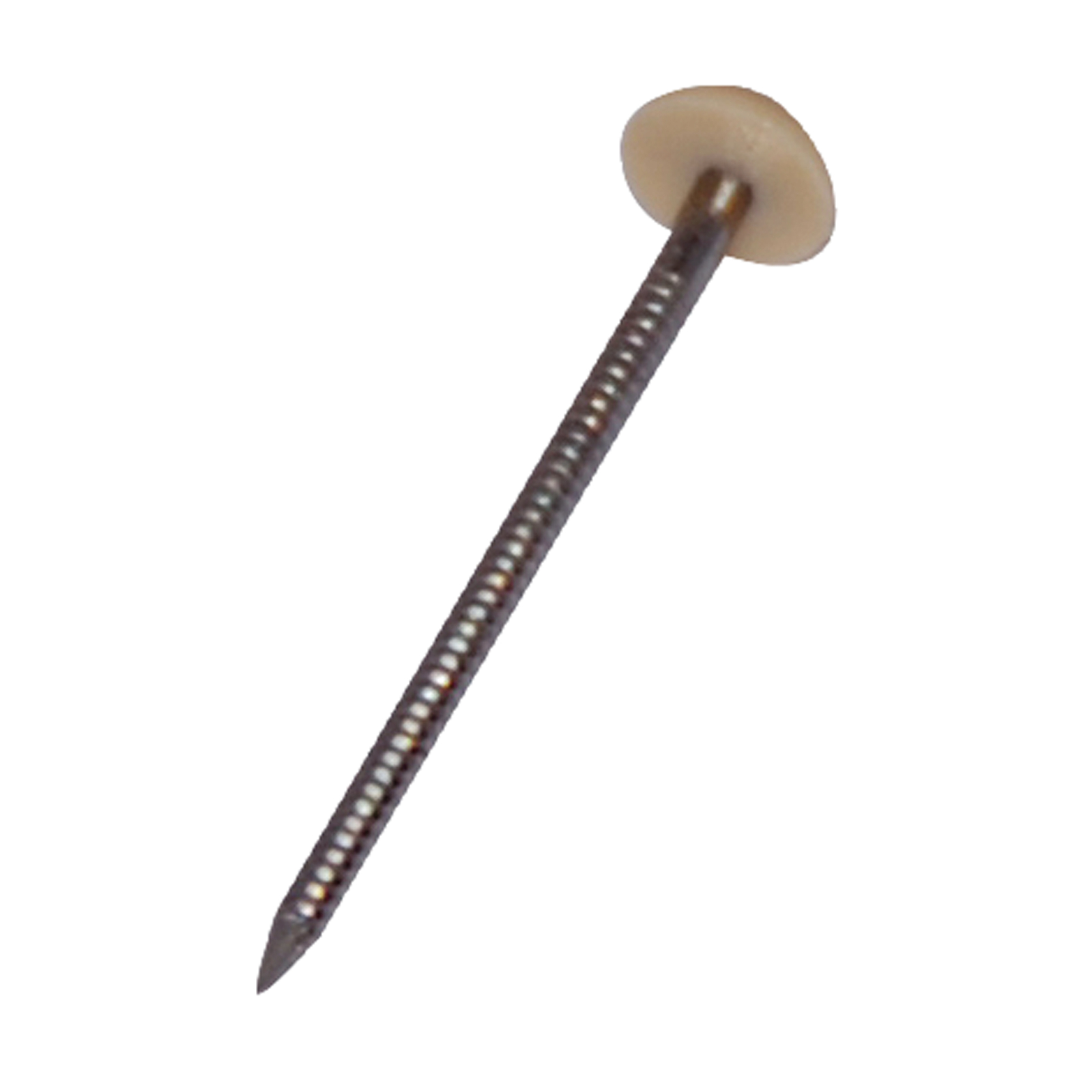 Pointe tête plastique ivoire inox 18/12 40x2,0 mm DIMOS - 778787