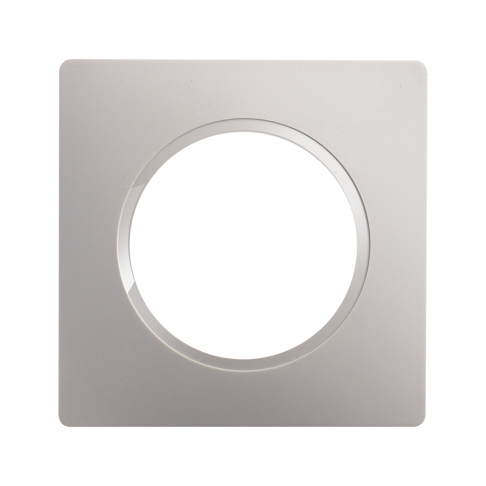 CASUAL EVO PLAQUE DE FINITION 1 POSTE GRIS PLATINE - DEBFLEX - 749645