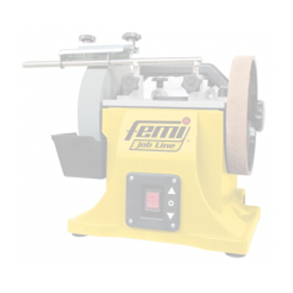 Meule a eau 200x40mm ales.12mm - FEMI - 8760082