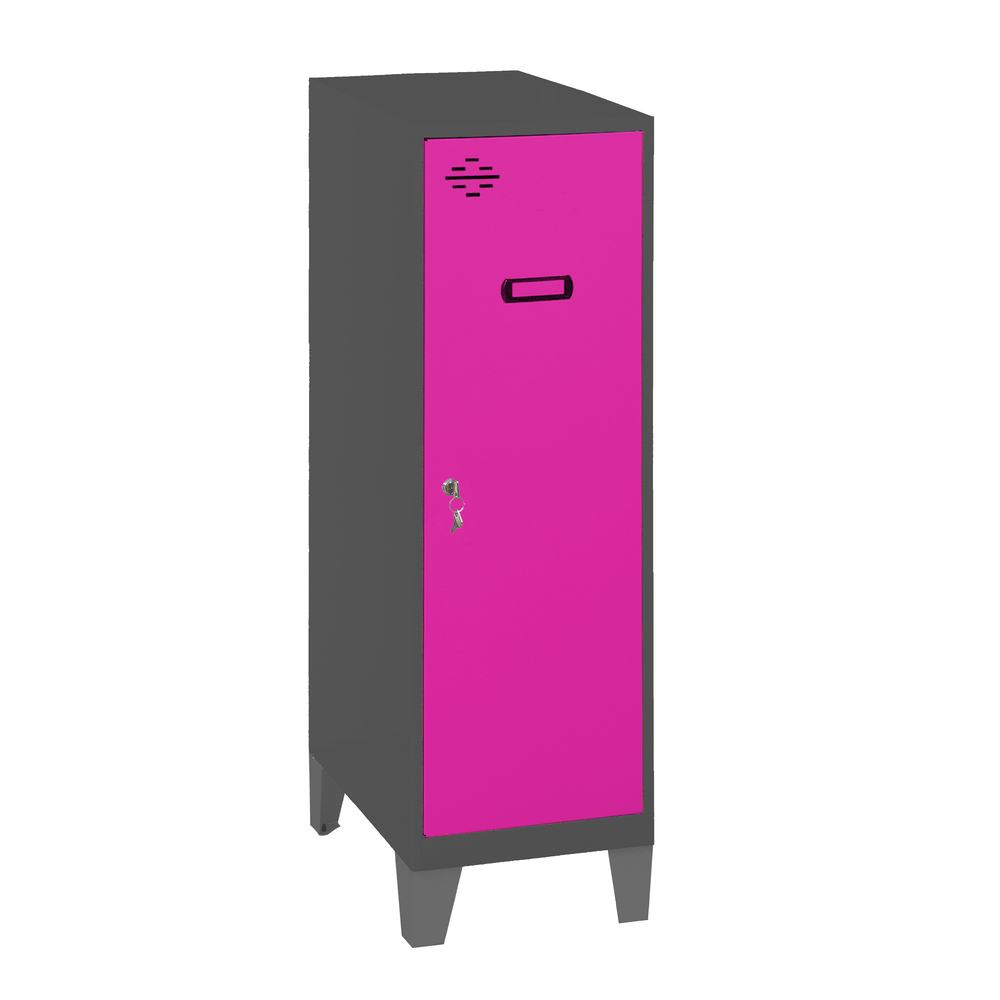 Vestiaire métallique monté 1015x300x500 - Anthracite - SIMON RACK - 8425437120138