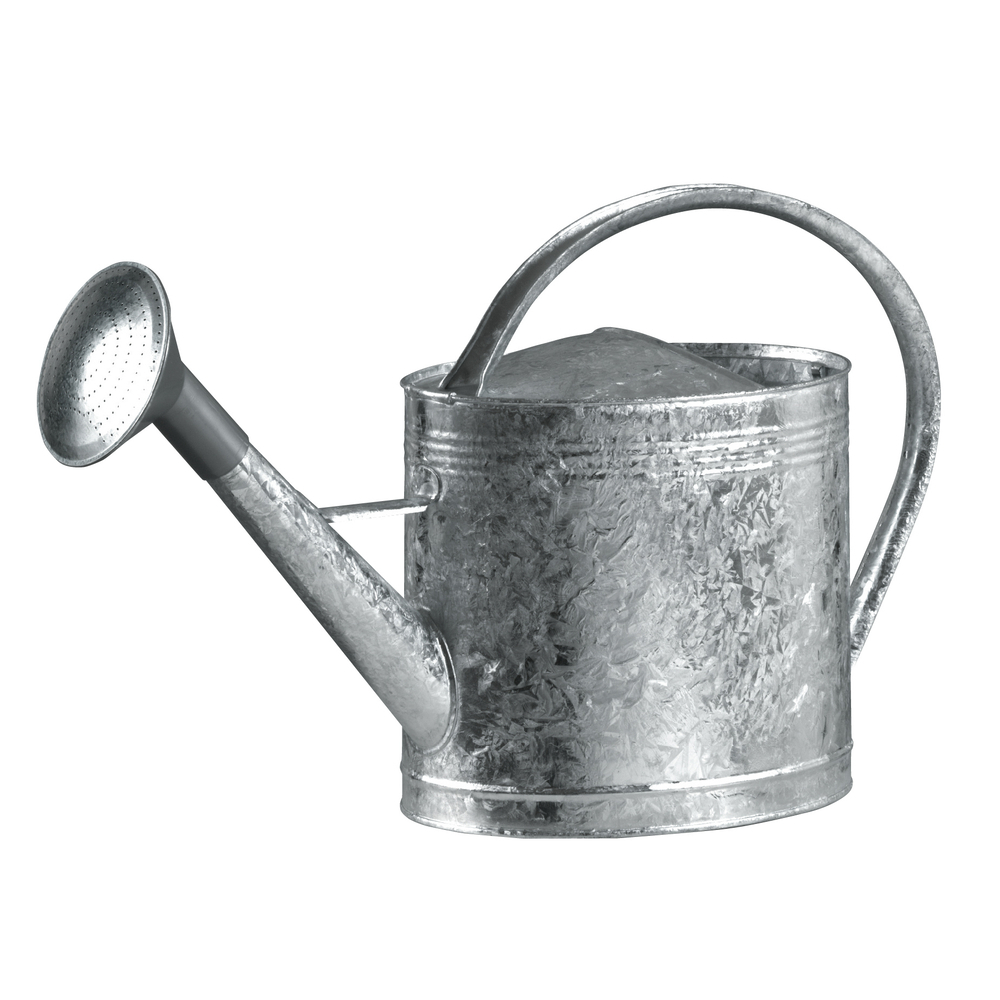 Arrosoir en acier galvanise - 13 litres, avec pomme - FORGES DE MAGNE - 388412