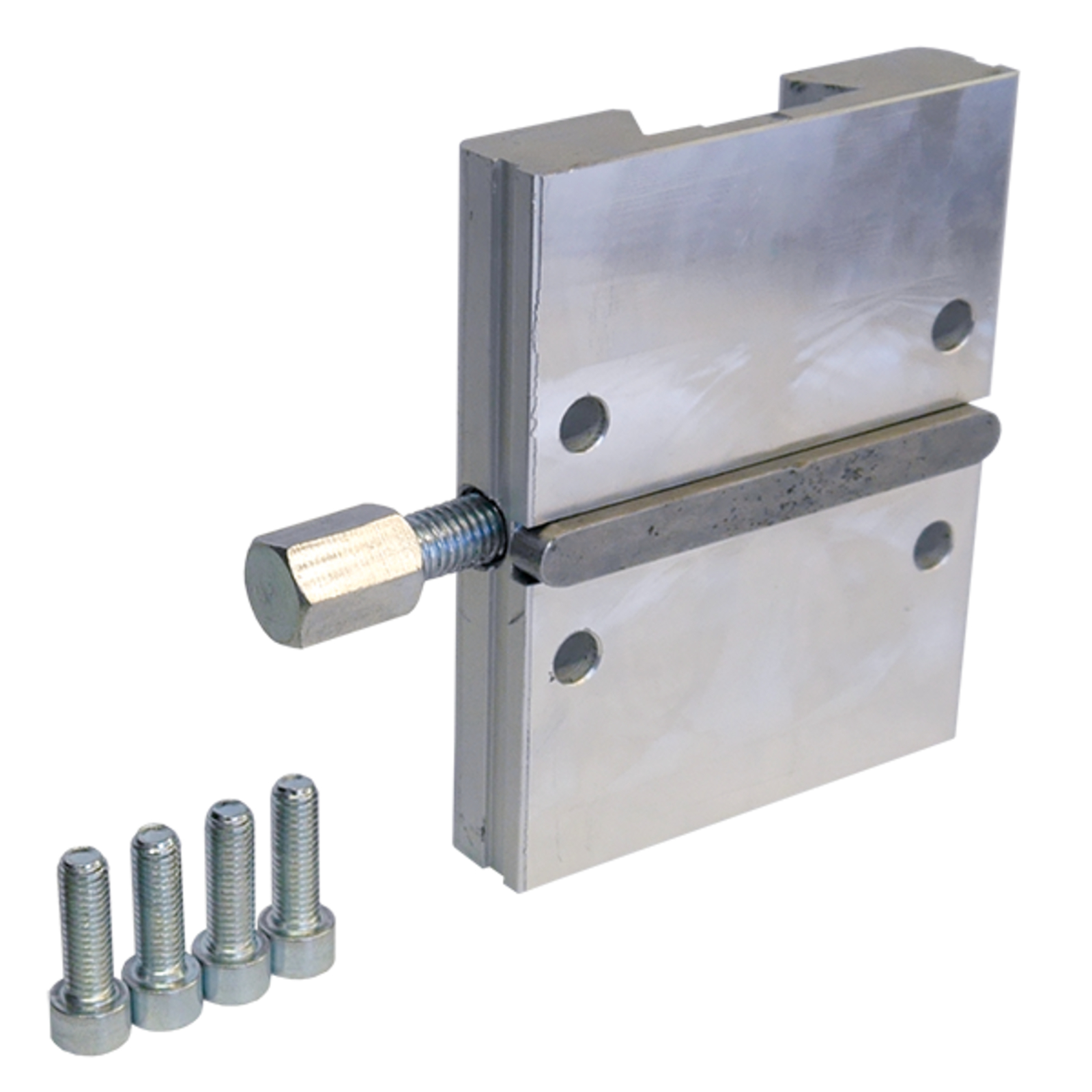 Plaque STS 30 mm pour moteur RD250 SD250 GOLZ - 02951100027