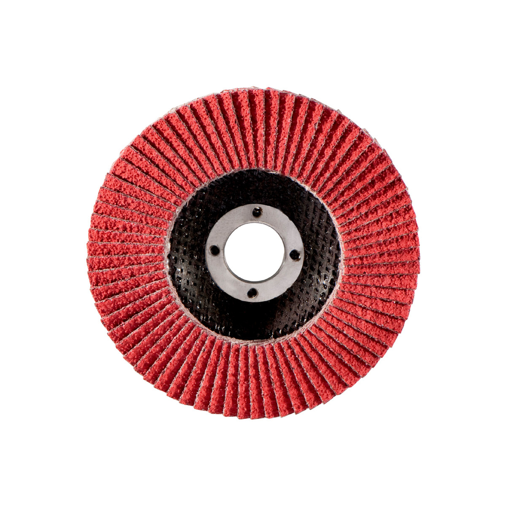 Plateau abrasif à lamelles 125 mm P 60, FS-CER - METABO - 626170000