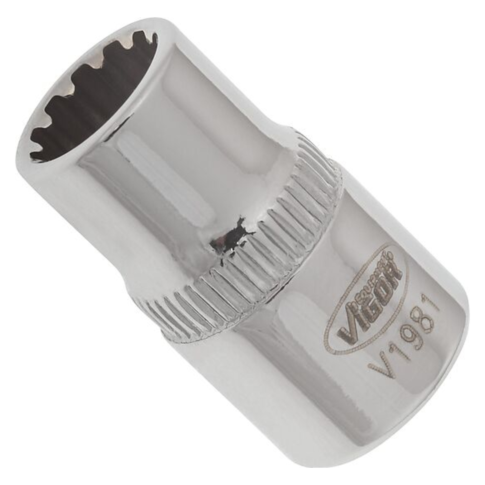 Douille Profil de multifonction 1⁄4″  VIGOR - V1981