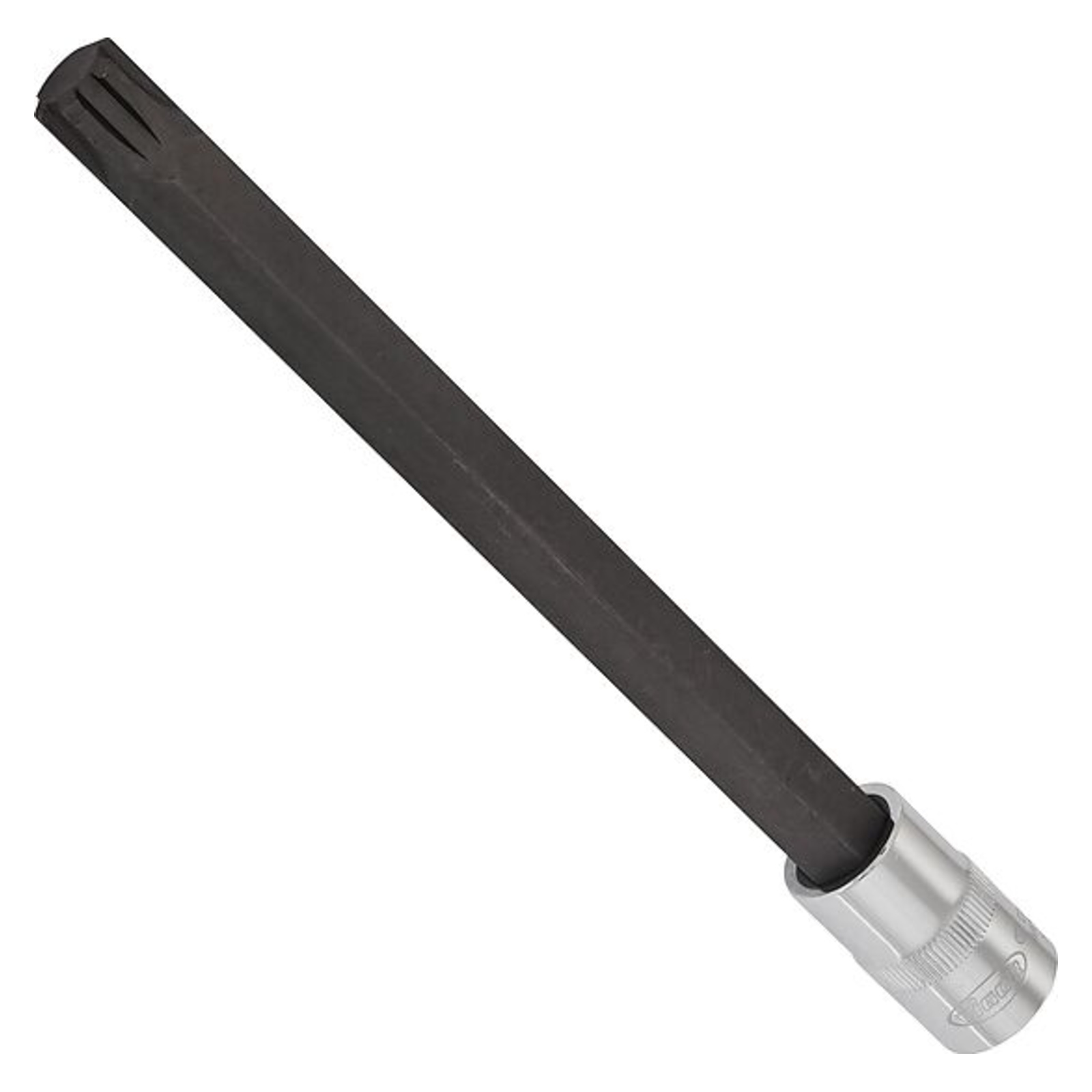Douille mâle Ribe CV 1⁄2″ VIGOR - V2233