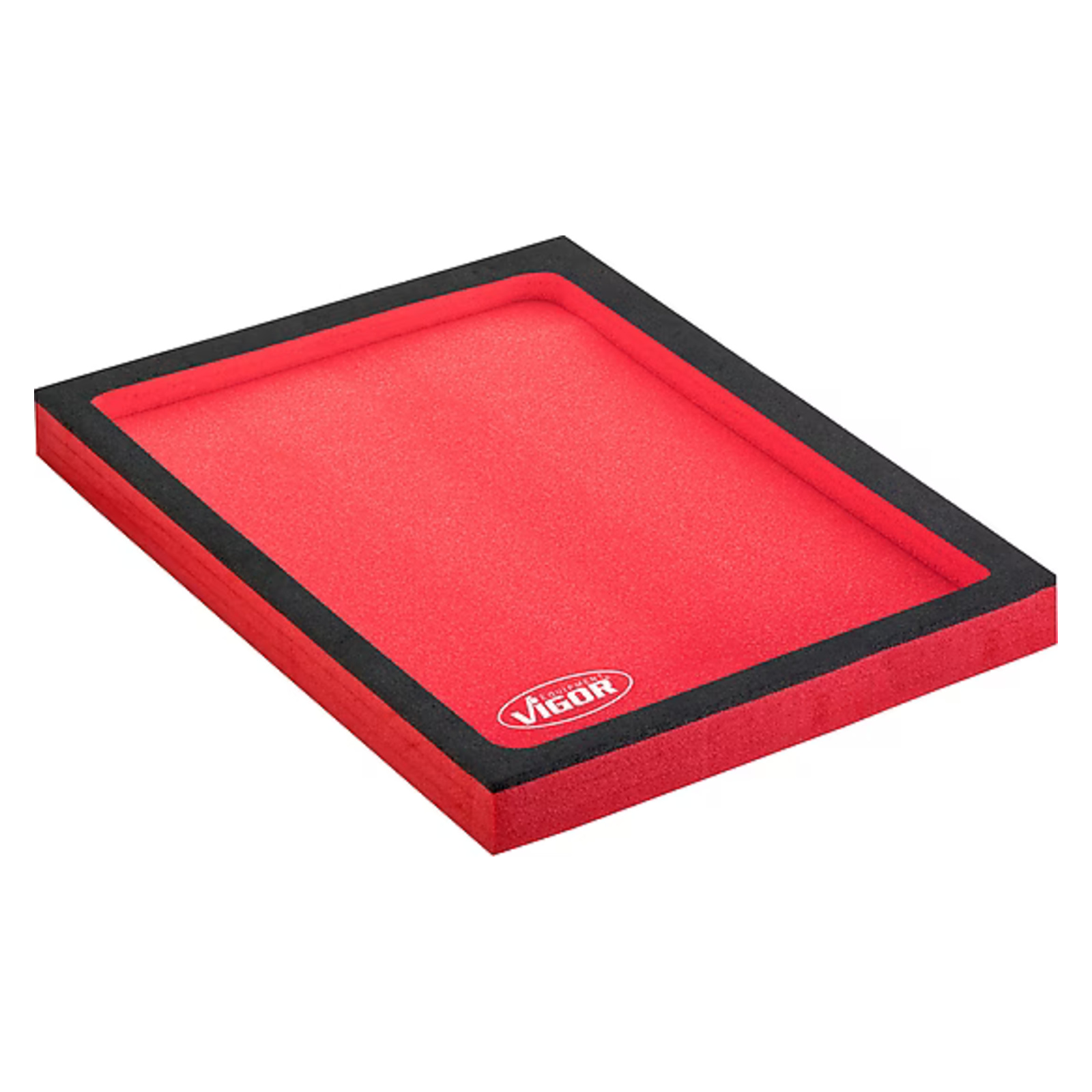 Garniture en mousse souple bimatière · avec compartiment vide  VIGOR - V5018